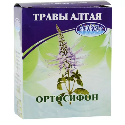 FitoSila ORTOSIFON Tyčinkovytý (listy) 30g d.s 04.2024